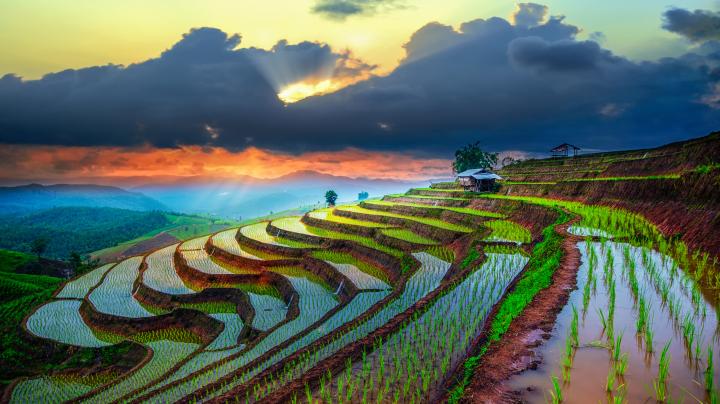 shutterstock_279311915