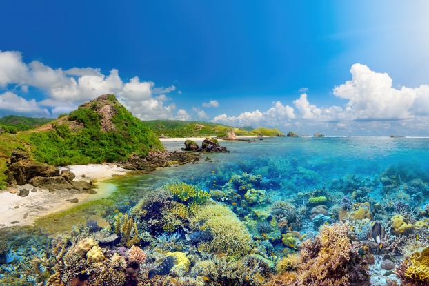 shutterstock_417461629
