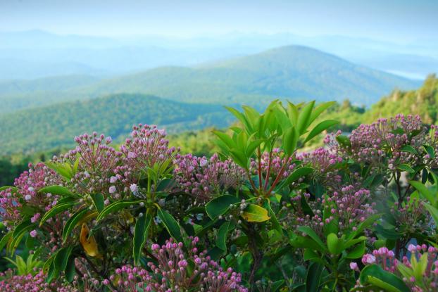 Blue Ridge Parkway in North Carolina_1