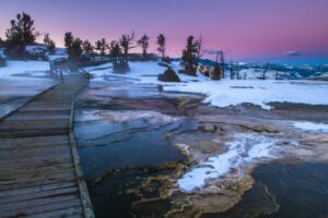 shutterstock_175050233