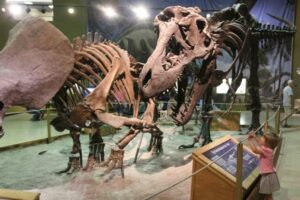 Wyoming-Dinosaur-Center-1