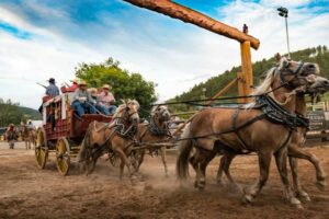 daysof76deadwood-2opt