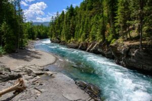 shutterstock_540755524