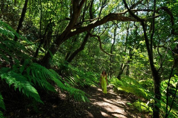 Win een plek op de Exclusive Ambassador Group FAM Trip naar Tenerife