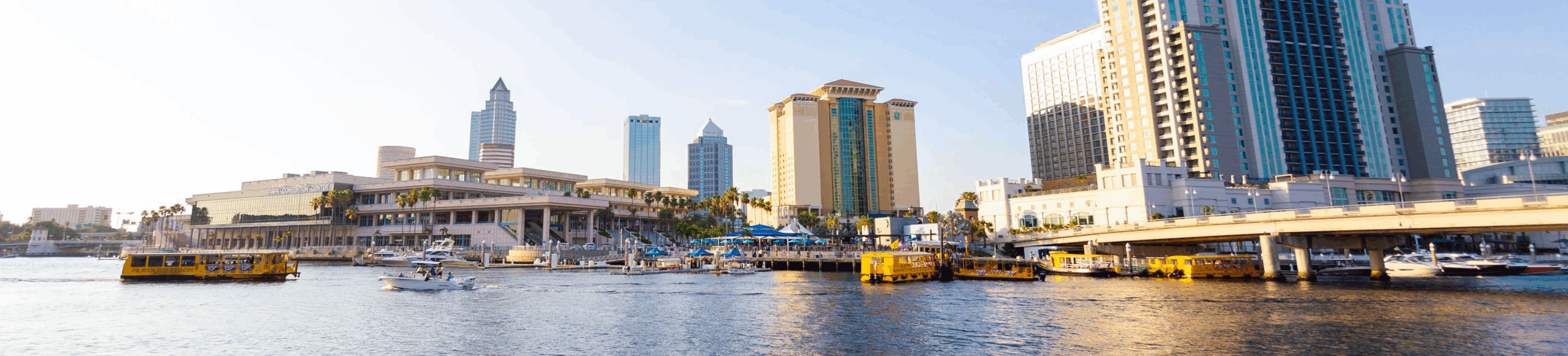 Tampa Bay