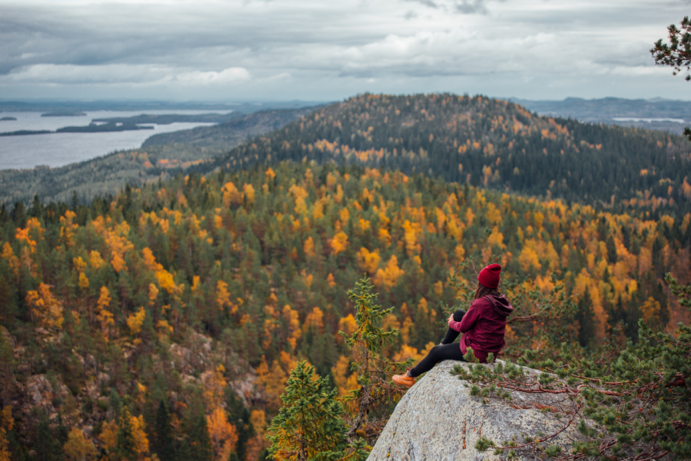 Koli_National_park,_autumn_lakeland_Julia_Kivela____Visit_Finland