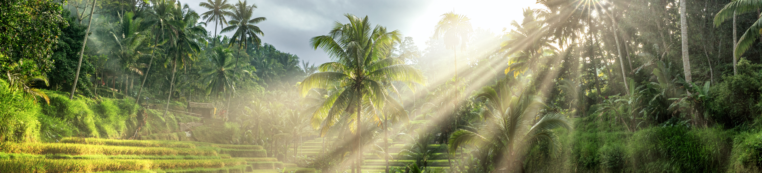 De Jong Intra Vakanties en Jintra Holidays