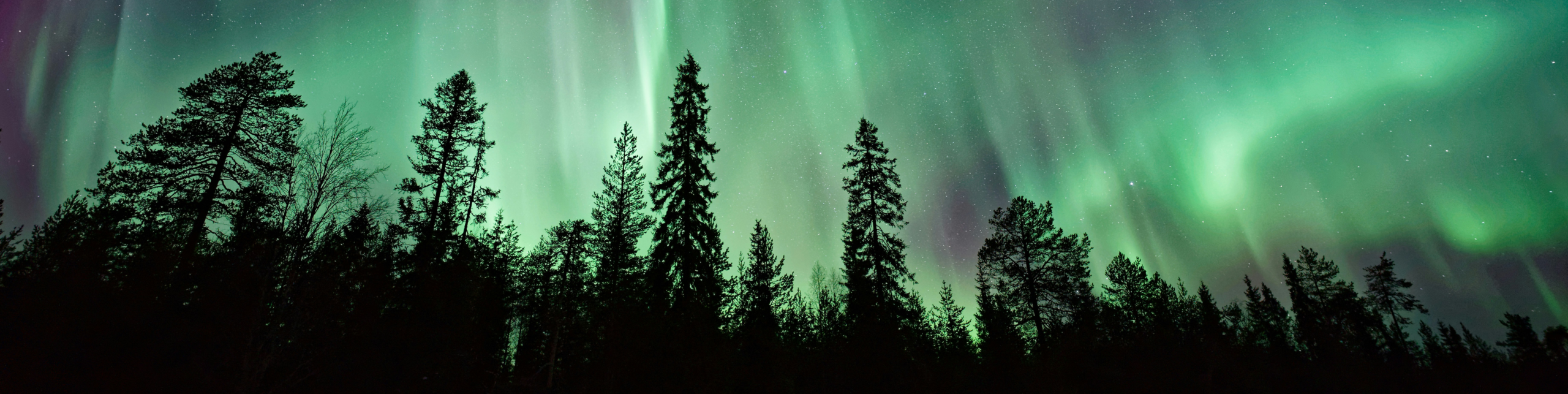 TravEcademy GUIDE – wintervakanties